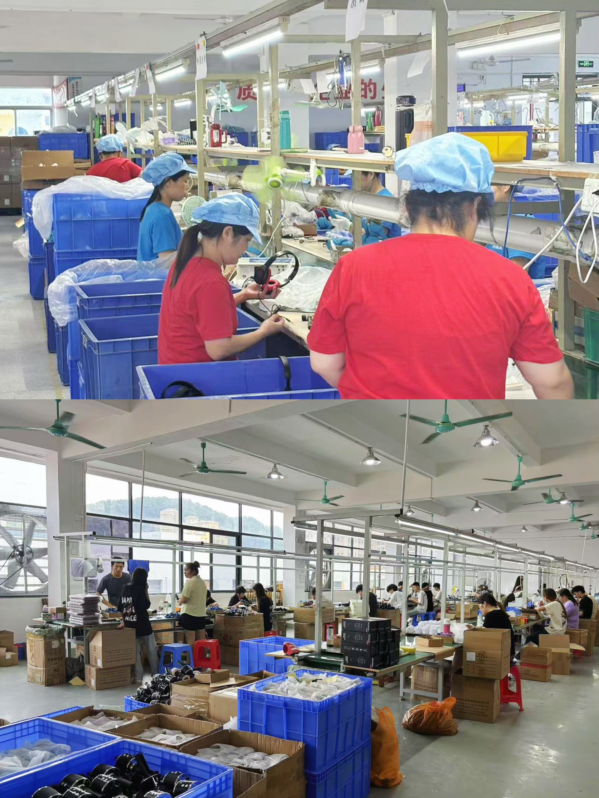 Company Profile